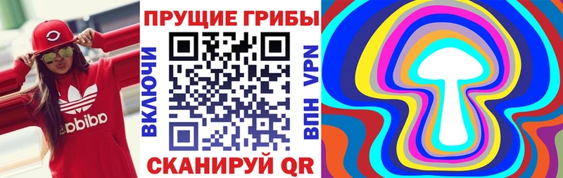 Псилоцибиновые грибы Psilocybe  как найти   Кузнецк 