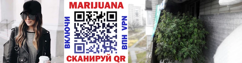купить   Кузнецк  Канабис Amnesia 